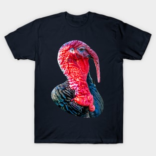 Tom Turkey T-Shirt